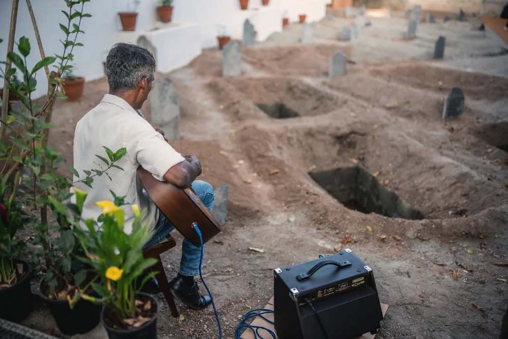 AMPHIBIAN AESTHETICS 