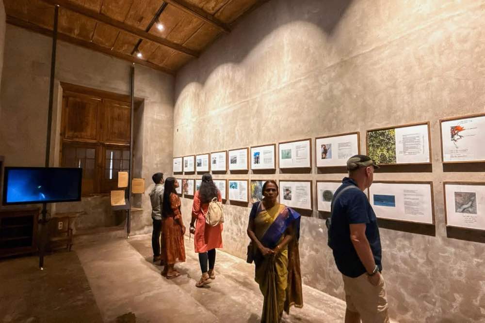 AMPHIBIAN AESTHETICS - CAAS COLLECTIVE 