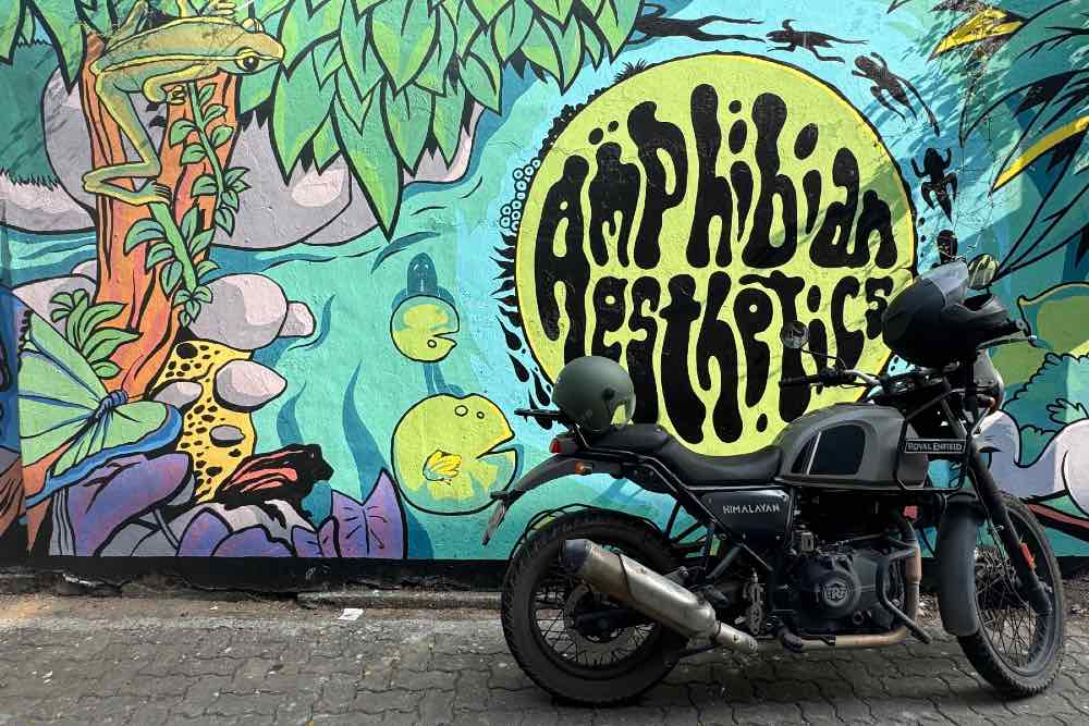 AMPHIBIAN AESTHETICS - APPUPEN: THE WORLD OF AMFY B.N. JOSE X FROGMAN 