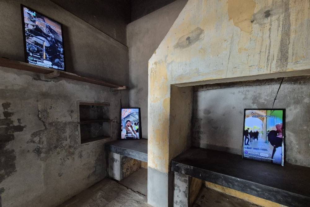 AMPHIBIAN AESTHETICS - RAMI FAROOK