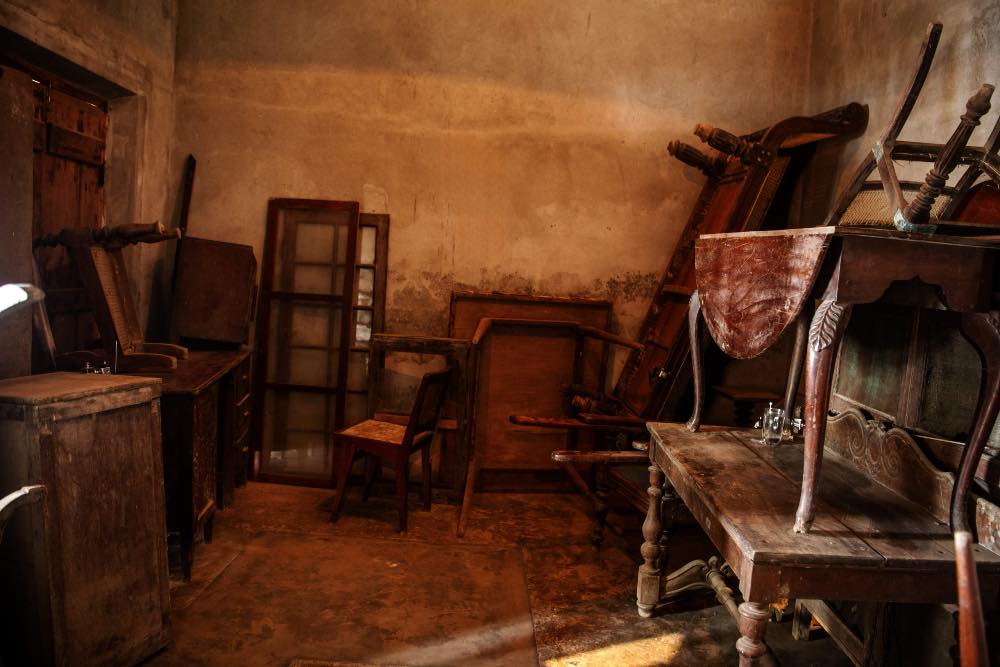 AMPHIBIAN AESTHETICS - SHILPA GUPTA