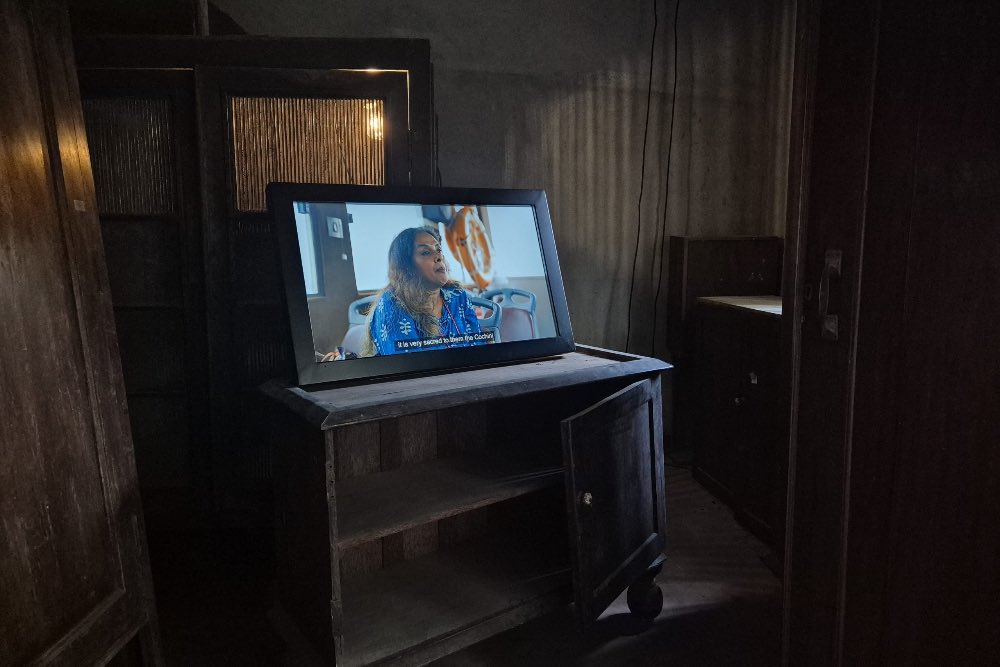 AMPHIBIAN AESTHETICS - ZAHIR MIRZA